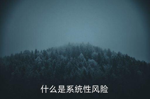 什么是系統(tǒng)性區(qū)域性風(fēng)險(xiǎn)，什么是系統(tǒng)性風(fēng)險(xiǎn)與區(qū)域性風(fēng)險(xiǎn)