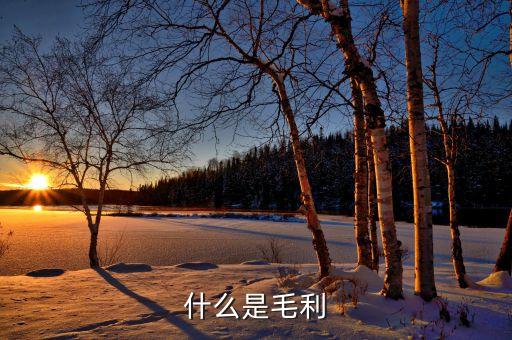 什么是產(chǎn)品毛利，什么是毛利怎么計算