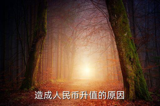 為什么貨幣升值，為什貨幣會(huì)升值