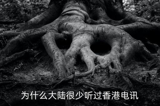 港資電訊是做什么的，電訊是個什么東東