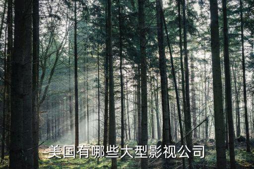 波士頓有什么大公司，美國(guó)有哪些大型影視公司