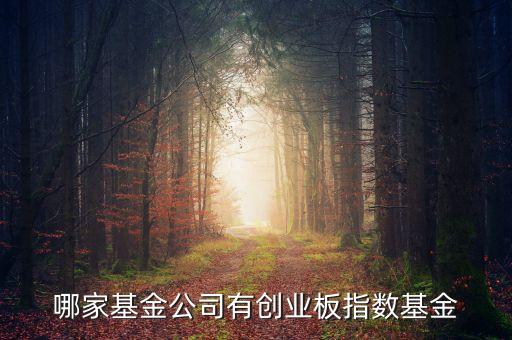 什么是中創(chuàng)400指數(shù)，基金里頭講到的 中創(chuàng)400 和 中小板300 有什么區(qū)別前者