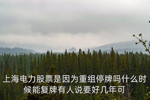 上海電氣什么時間復牌，上海電力股票是因為重組停牌嗎什么時候能復牌有人說要好幾年可