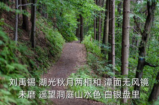 君山股份是做什么，劉禹錫 湖光秋月兩相和 潭面無風鏡未磨 遙望洞庭山水色 白銀盤里
