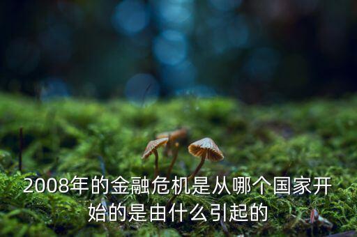 這一次的金融危機(jī)發(fā)端于什么，請(qǐng)問(wèn)這次金融風(fēng)暴的起始是什么樣的具體的原因