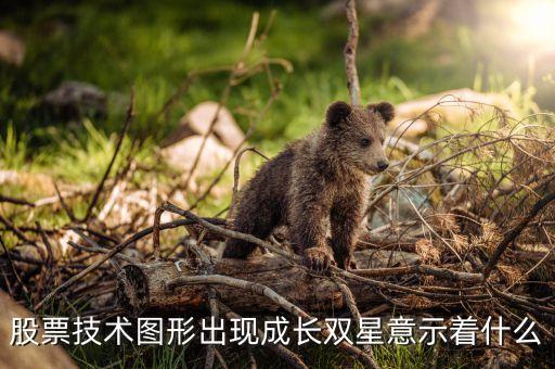 股票技術圖形出現(xiàn)成長雙星意示著什么