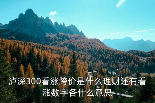 看漲跨價(jià)什么意思，理財(cái) 滬深300看漲跨價(jià)好不好