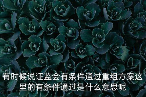 重組項目過會是什么意思，資產(chǎn)重組獲股東大會高票通過什么意思