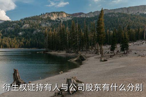 衍生權(quán)證是什么，衍生權(quán)證持有人與公司股東有什么分別