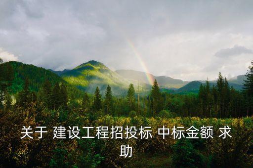 中標(biāo)金額是什么，關(guān)于 建設(shè)工程招投標(biāo) 中標(biāo)金額 求助