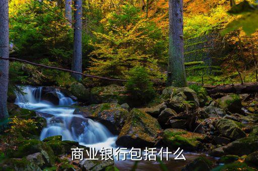 雨果獎是什么，商業(yè)銀行包括什么