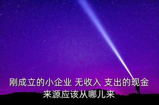 小企業(yè)主為什么沒現(xiàn)金，剛成立的小企業(yè) 無收入 支出的現(xiàn)金來源應(yīng)該從哪兒來