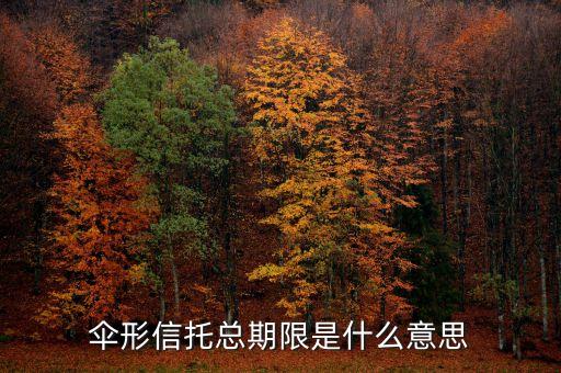 傘形信托的杠桿比例是什么意思，傘形信托總期限是什么意思