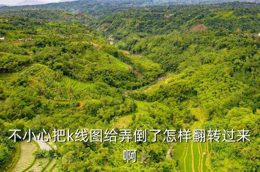 股票k線圖翻轉(zhuǎn)按什么鍵，電腦上股票k線圖怎么才能往前翻