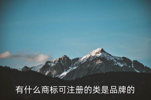 劉陽的全盛集團(tuán)的注冊商標(biāo)是什么，有什么商標(biāo)可注冊的類是品牌的