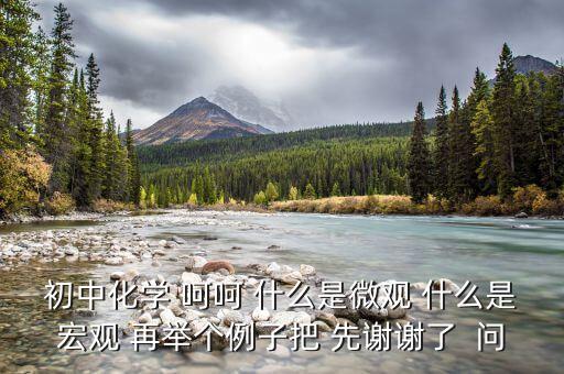 什么是宏觀事實(shí)，初中化學(xué) 呵呵 什么是微觀 什么是宏觀 再舉個(gè)例子把 先謝謝了  問
