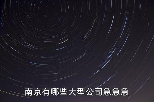 蘇寧什么時(shí)候收購(gòu)舜天，南京有哪些大型公司急急急