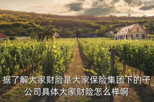 大財子公司全稱是什么，大財子什么意思哦