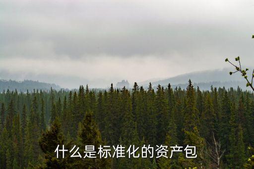 什么屬于標準化資產(chǎn)，標準化資產(chǎn) 什么是標準化資產(chǎn)
