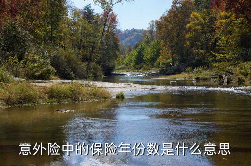 保險數(shù)目指什么，意外險中的保險年份數(shù)是什么意思