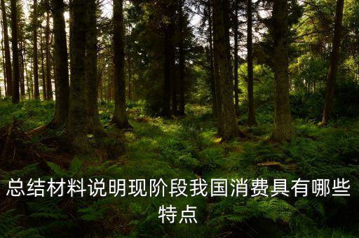 從材料的數(shù)據(jù)中反映了當(dāng)前消費的什么特點，總結(jié)材料說明現(xiàn)階段我國消費具有哪些特點