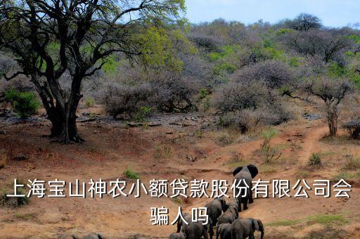上海神農(nóng)小額貸款公司經(jīng)理叫什么，上海寶山神農(nóng)小額貸款股份有限公司會(huì)騙人嗎