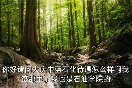 中藍石化總公司是什么公司，中藍集團是那一年成立的