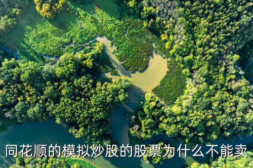 財達同花順股票為什么不能買賣，同花順的模擬炒股的股票為什么不能賣