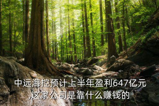  中遠?？仡A(yù)計上半年盈利647億元,這家公司是靠什么賺錢的