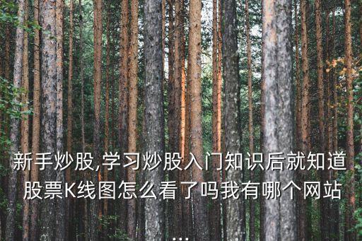 新手炒股,學習炒股入門知識后就知道 股票K線圖怎么看了嗎我有哪個網(wǎng)站...