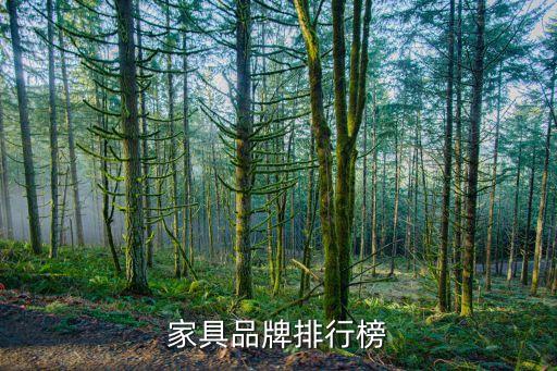 美克美家上?；春Ｂ返?上海美克美家哪個最大