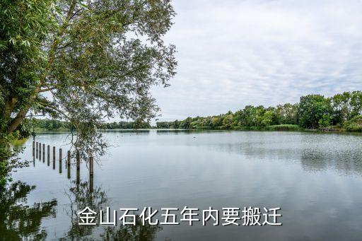 上?；瘜W(xué)工業(yè)區(qū)總體規(guī)劃,洪江市工業(yè)區(qū)總體規(guī)劃