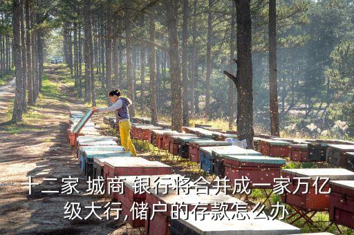 十二家 城商 銀行將合并成一家萬(wàn)億級(jí)大行,儲(chǔ)戶(hù)的存款怎么辦