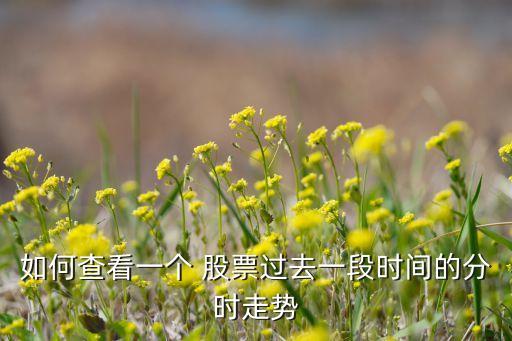 如何查看一個(gè) 股票過去一段時(shí)間的分時(shí)走勢