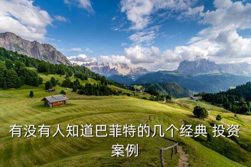 有沒有人知道巴菲特的幾個(gè)經(jīng)典 投資案例