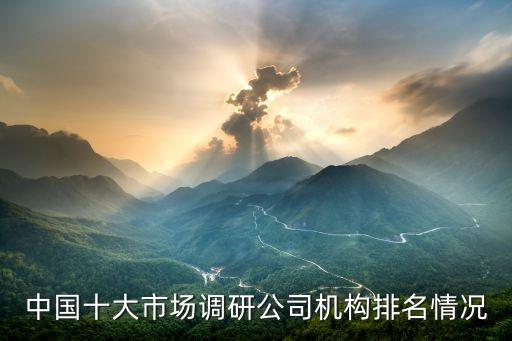 中國(guó)十大市場(chǎng)調(diào)研公司機(jī)構(gòu)排名情況