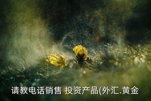 請教電話銷售 投資產(chǎn)品(外匯.黃金