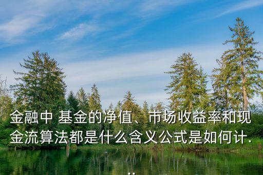 金融中 基金的凈值、市場(chǎng)收益率和現(xiàn)金流算法都是什么含義公式是如何計(jì)...