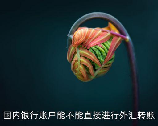 國內銀行賬戶能不能直接進行外匯轉賬