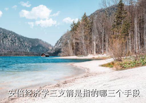  安倍經(jīng)濟(jì)學(xué)三支箭是指的哪三個手段