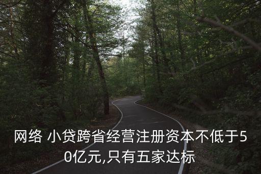 網(wǎng)絡 小貸跨省經(jīng)營注冊資本不低于50億元,只有五家達標