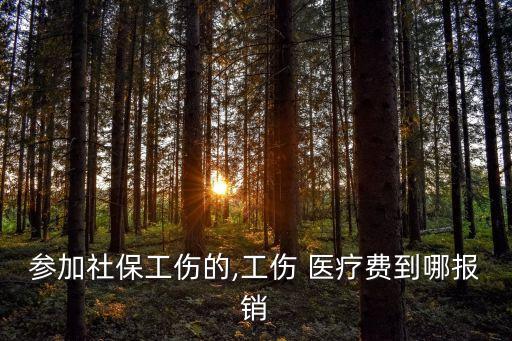 參加社保工傷的,工傷 醫(yī)療費(fèi)到哪報銷