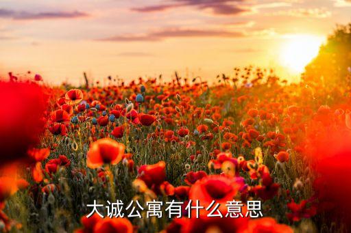 大誠(chéng)公寓有什么意思
