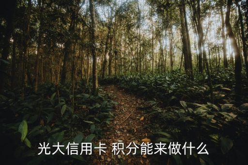 光大銀行網上消費積分