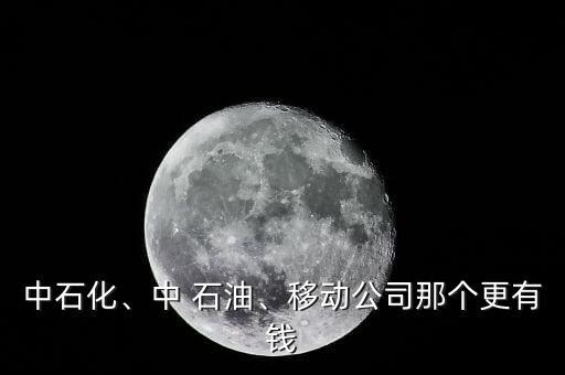 中石化、中 石油、移動公司那個更有錢