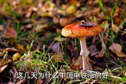 墨西哥取消中國(guó)高鐵招標(biāo)