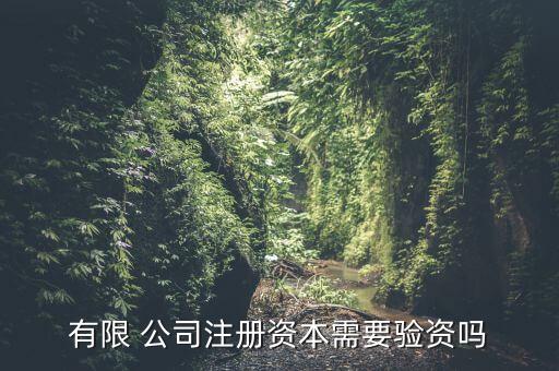 有限 公司注冊(cè)資本需要驗(yàn)資嗎
