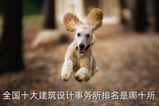 全國十大建筑設(shè)計(jì)事務(wù)所排名是哪十所