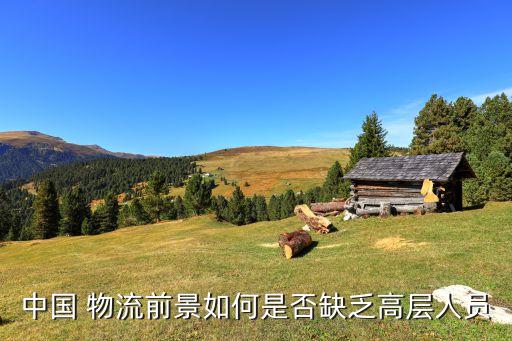 中國(guó) 物流前景如何是否缺乏高層人員