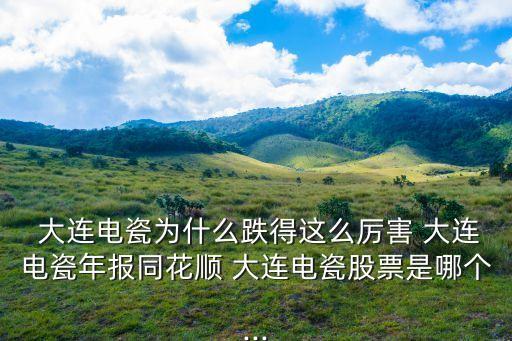 大連昊?？萍脊煞萦邢薰?大連華陽(yáng)新材料科技股份有限公司